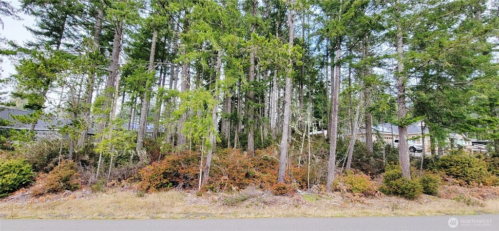 350 E Vine Maple Lane, Union, WA 98592