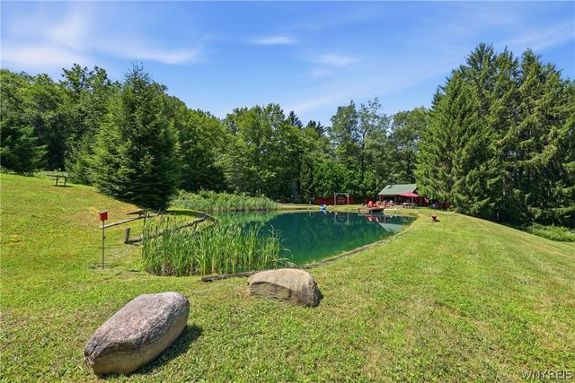 7902 Back Creek Road, Boston, NY 14075