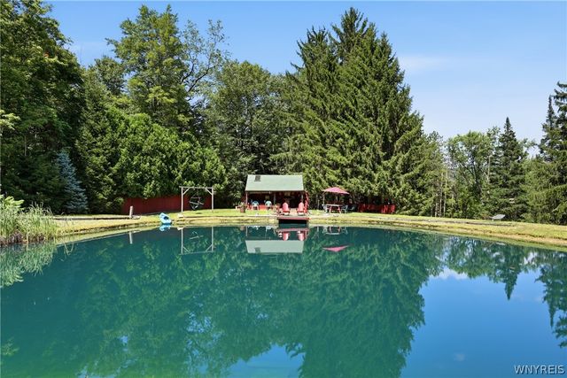 7902 Back Creek Road, Boston, NY 14075