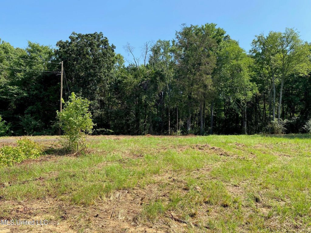 Mt Pleasant Road, Byhalia, MS 38611 — photo 3