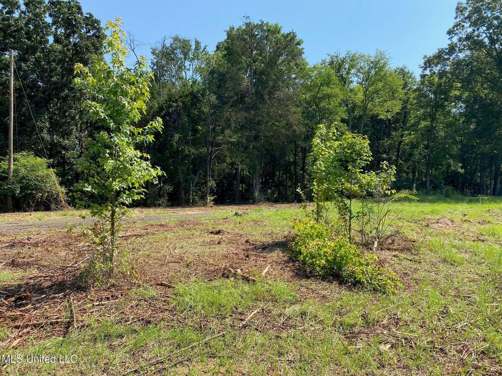 Mt Pleasant Road, Byhalia, MS 38611 — photo 4