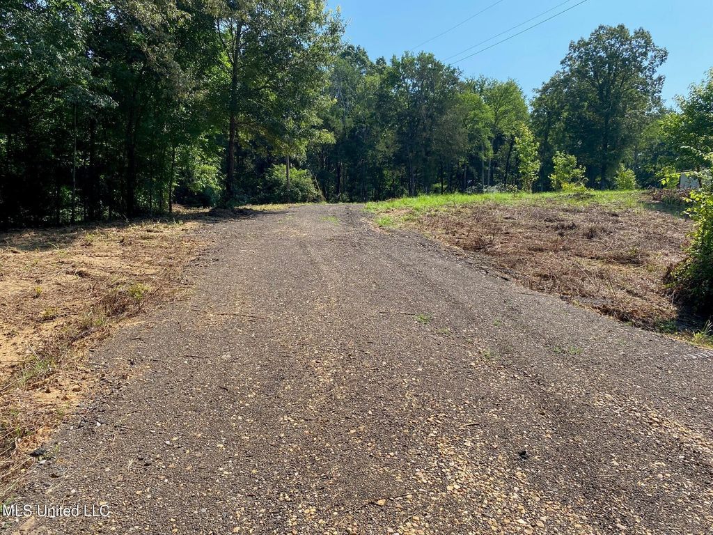 Mt Pleasant Road, Byhalia, MS 38611 — photo 5