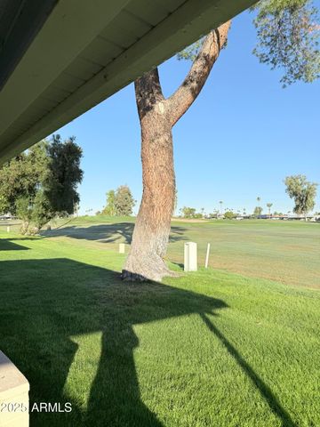 10904 W CAMEO Drive, Sun City, AZ 85351