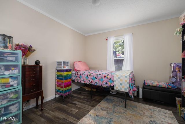 155 Lake Drive, Gray, TN 37615