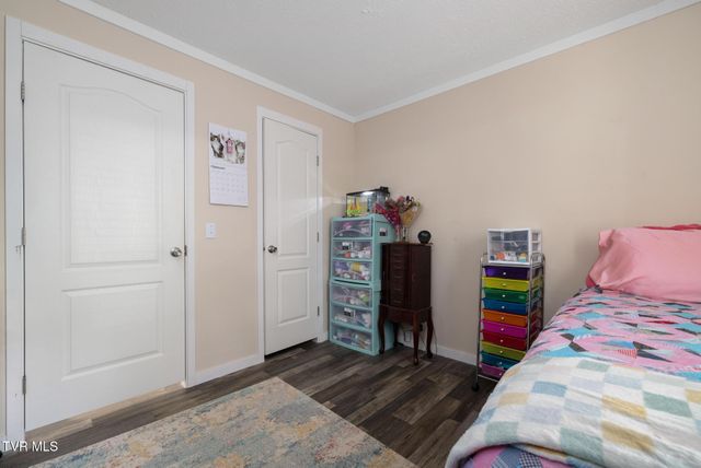 155 Lake Drive, Gray, TN 37615