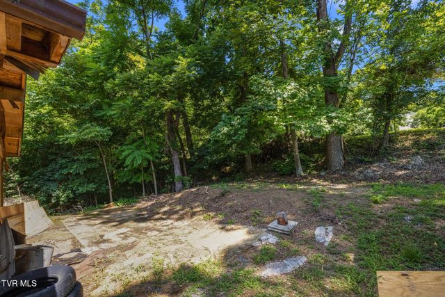 155 Lake Drive, Gray, TN 37615