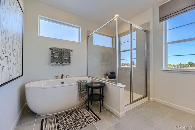 13960 Hanging Lake Street, Parker, CO 80138