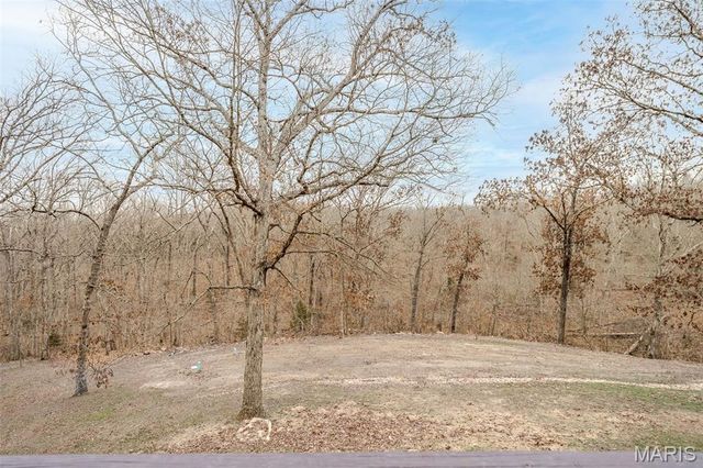 480 Lone Pine Lane, St Clair, MO 63077