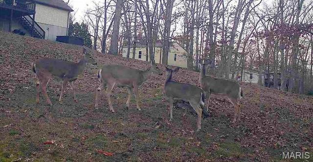 480 Lone Pine Lane, St Clair, MO 63077