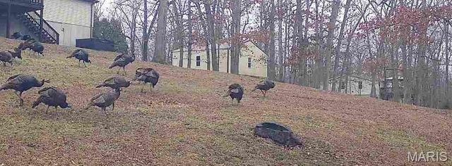 480 Lone Pine Lane, St Clair, MO 63077