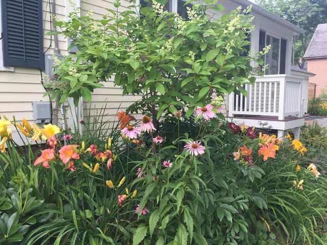 29 Grant Street, Keene, NH 03431