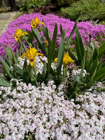 29 Grant Street, Keene, NH 03431