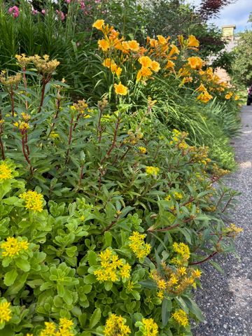 29 Grant Street, Keene, NH 03431