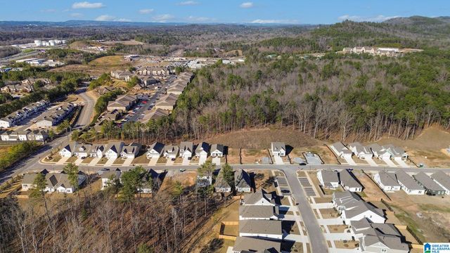 136 HUNTLEY RIDGE DRIVE, Pelham, AL 35124