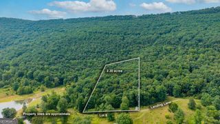 0 Newsome Gap Road, Rising Fawn, GA 30738