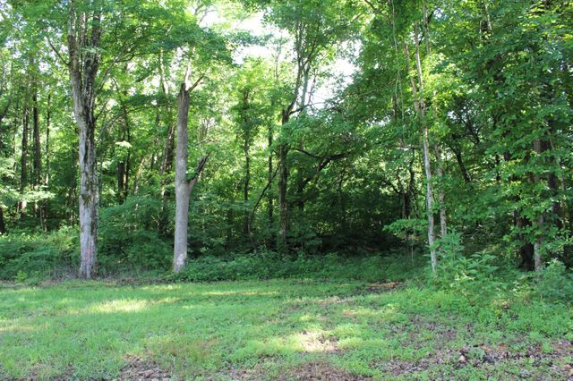 9681 Hwy 147, Stewart, TN 37175