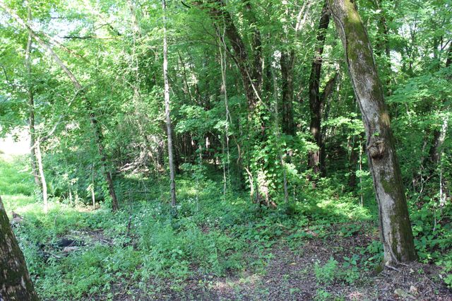 9681 Hwy 147, Stewart, TN 37175