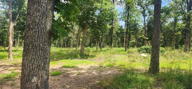 18632 Farm Road 2300, Eagle Rock, MO 65641
