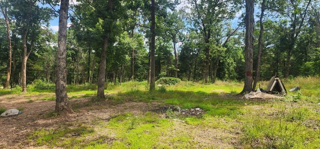 18632 Farm Road 2300, Eagle Rock, MO 65641