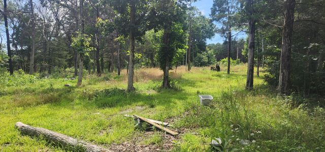 18632 Farm Road 2300, Eagle Rock, MO 65641