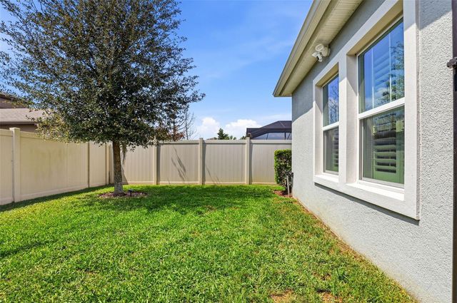 21804 BRISKE MORNING AVENUE, Land O Lakes, FL 34637