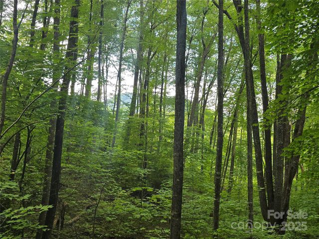 Lt 7 Buck Knob None, Cullowhee, NC 28723