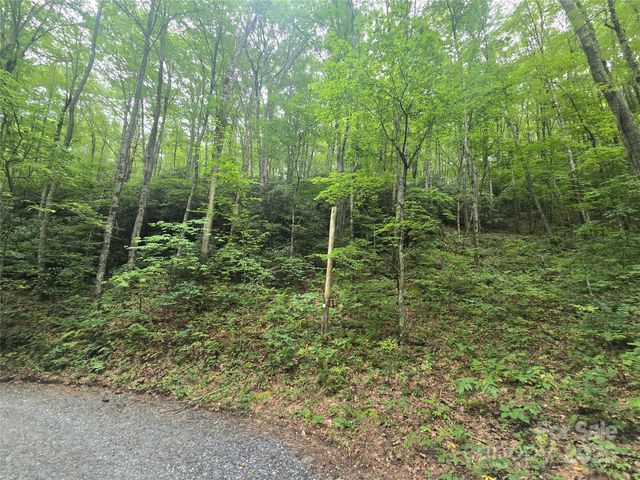 Lt 7 Buck Knob None, Cullowhee, NC 28723