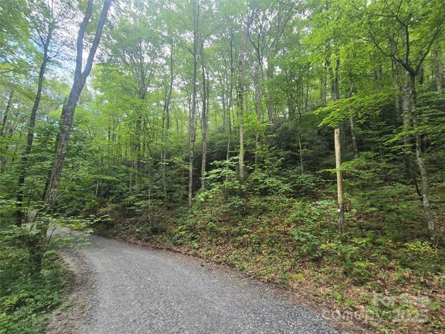 Lt 7 Buck Knob None, Cullowhee, NC 28723