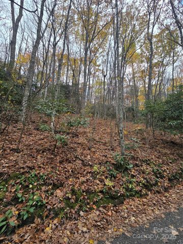 Lt 7 Buck Knob None, Cullowhee, NC 28723