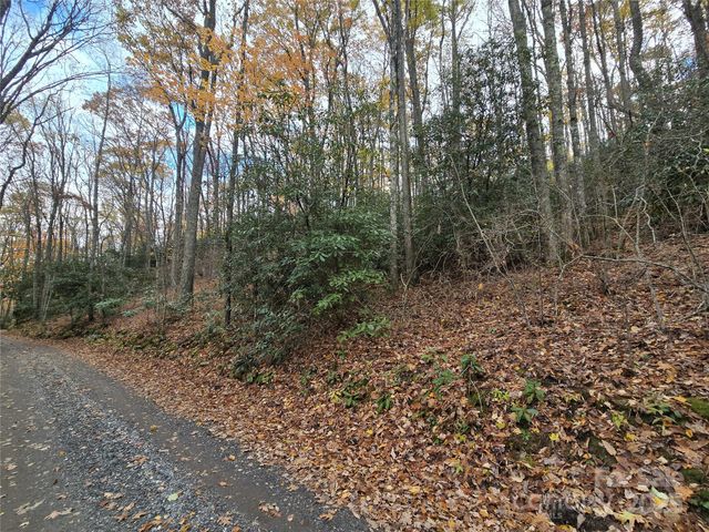 Lt 7 Buck Knob None, Cullowhee, NC 28723