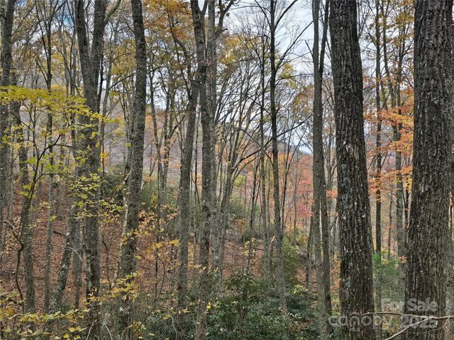 Lt 7 Buck Knob None, Cullowhee, NC 28723