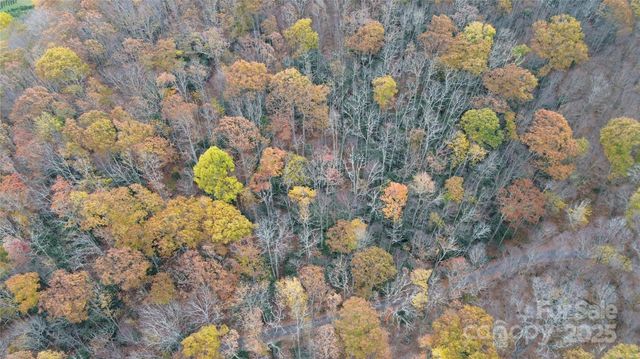 Lt 7 Buck Knob None, Cullowhee, NC 28723