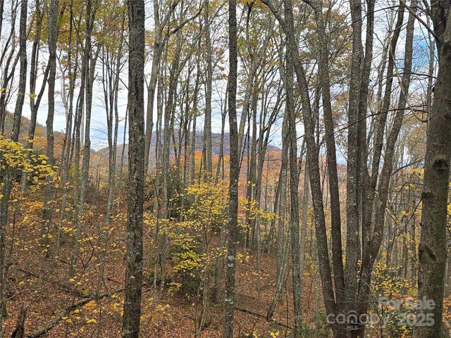 Lt 7 Buck Knob None, Cullowhee, NC 28723