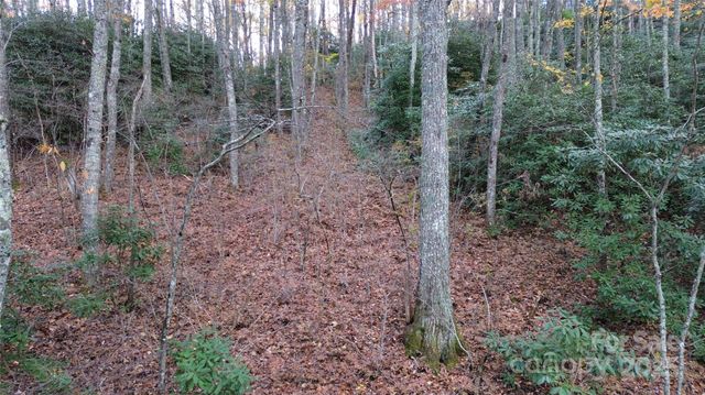 Lt 7 Buck Knob None, Cullowhee, NC 28723