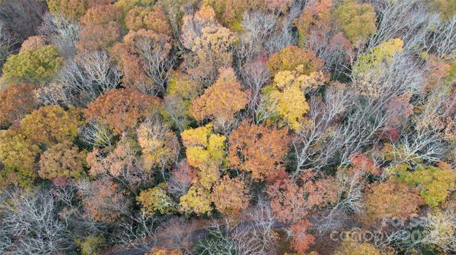 Lt 7 Buck Knob None, Cullowhee, NC 28723