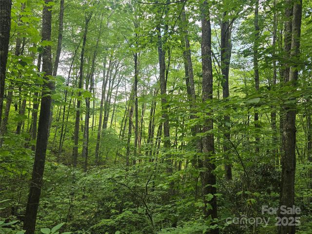 Lt 7 Buck Knob None, Cullowhee, NC 28723