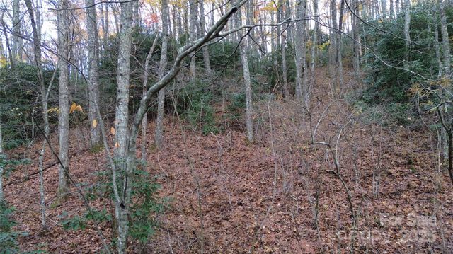 Lt 7 Buck Knob None, Cullowhee, NC 28723