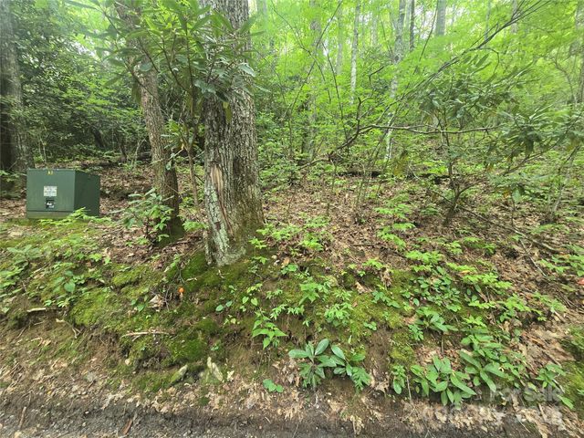 Lt 7 Buck Knob None, Cullowhee, NC 28723