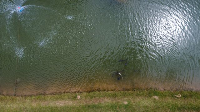 365 Cimmarron Trail, Runaway Bay, TX 76426