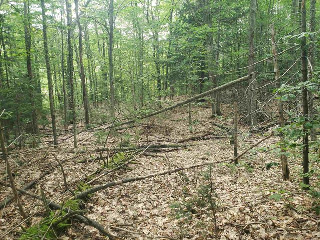 0 Stratton Hill Road, Marlboro, VT 05344
