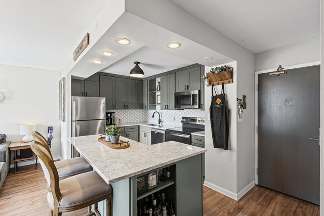 3930 N Pine Grove Avenue 304, Chicago, IL 60613