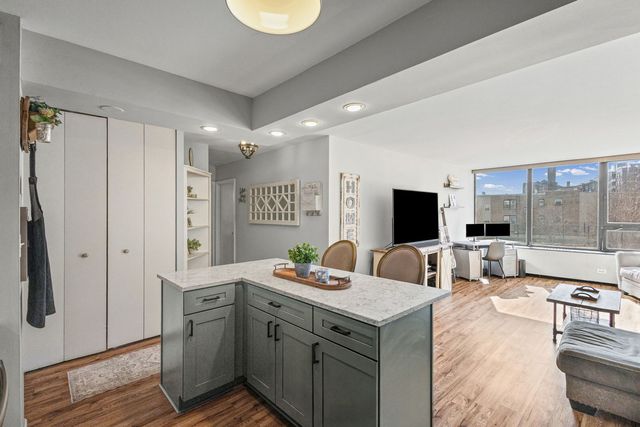 3930 N Pine Grove Avenue 304, Chicago, IL 60613