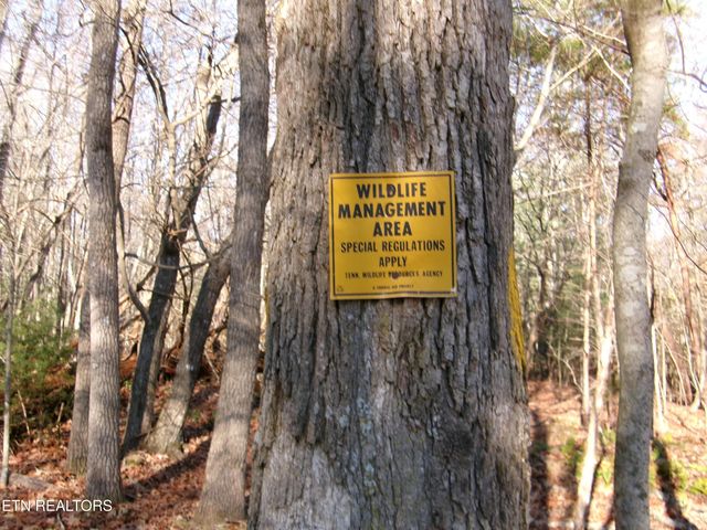 14 Brooks Lane, Crossville, TN 38558