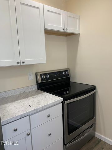 714 West Floral Street, Greeneville, TN 37743