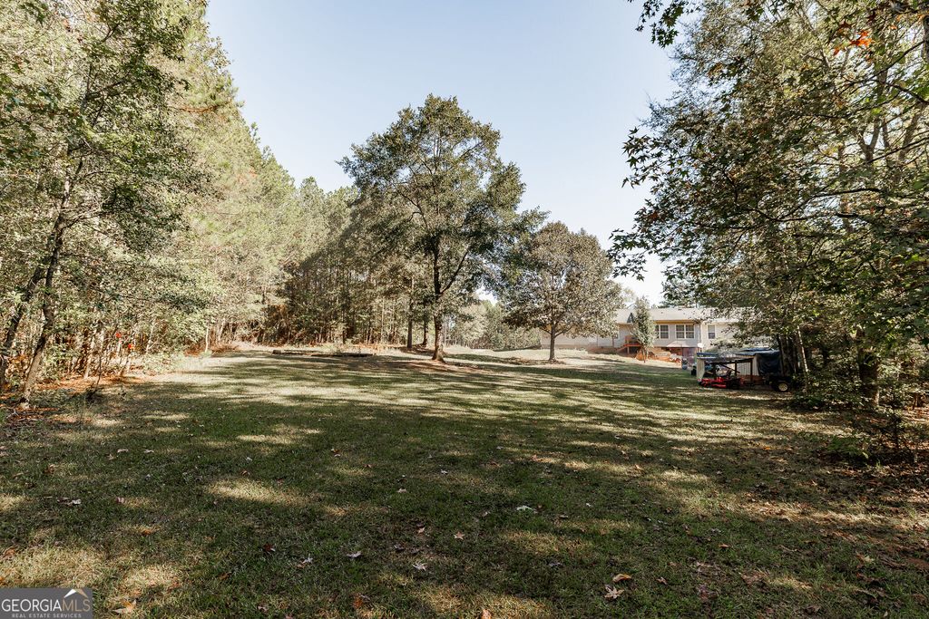 606 Berkeley Road, Carlton, GA 30627 — photo 5