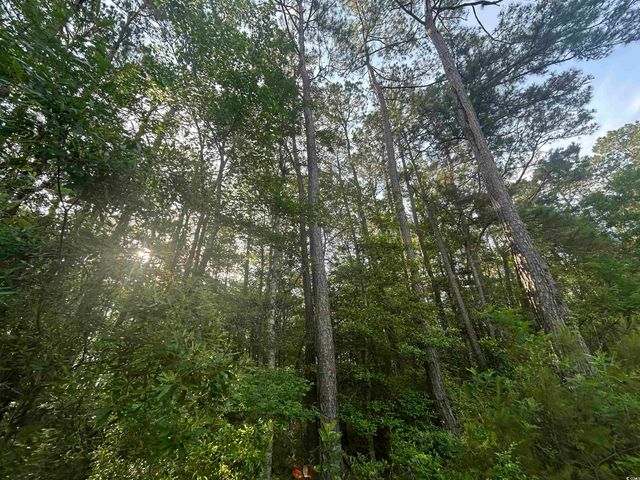 TBD Roscoe Rd., Myrtle Beach, SC 29588