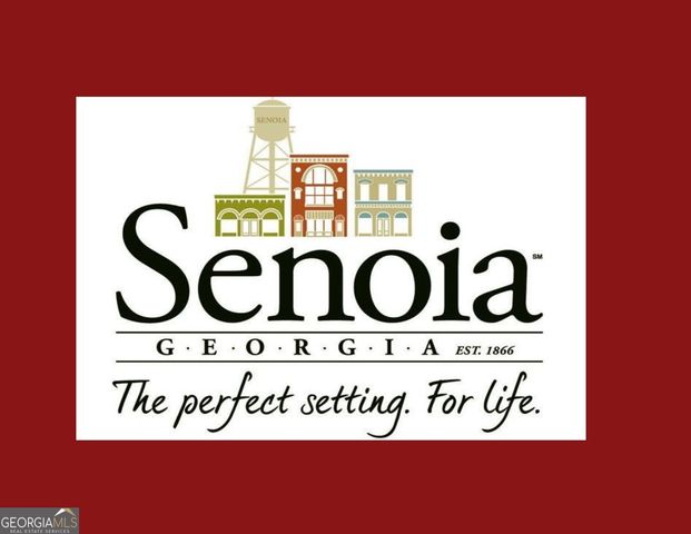 25 Malone Court, Senoia, GA 30276