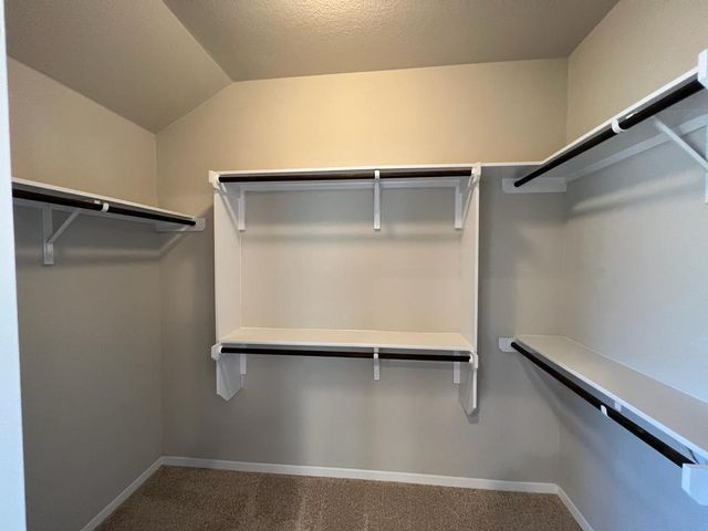 105 Spiny Lizard LN, San Marcos, TX 78666