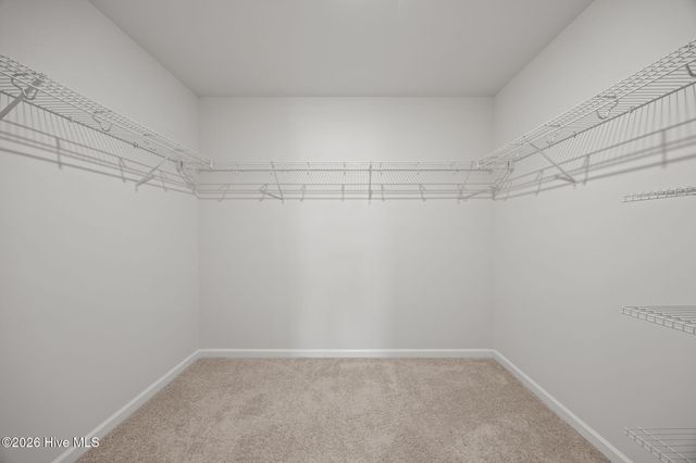 1917 Rolling Meadows Drive, Greenville, NC 27858