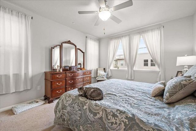 9015 Cattle Baron PATH 1203, Austin, TX 78747